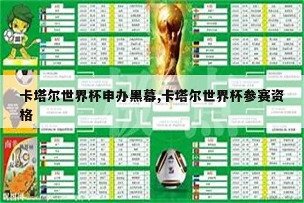 世界杯申办黑幕 世界杯申办国家-第2张图片-www.211178.com_果博福布斯